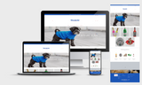 Pet Accessories Store Premade Website - BrandingStudio314